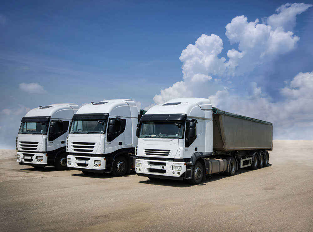 The development of logistics is towards service and information network